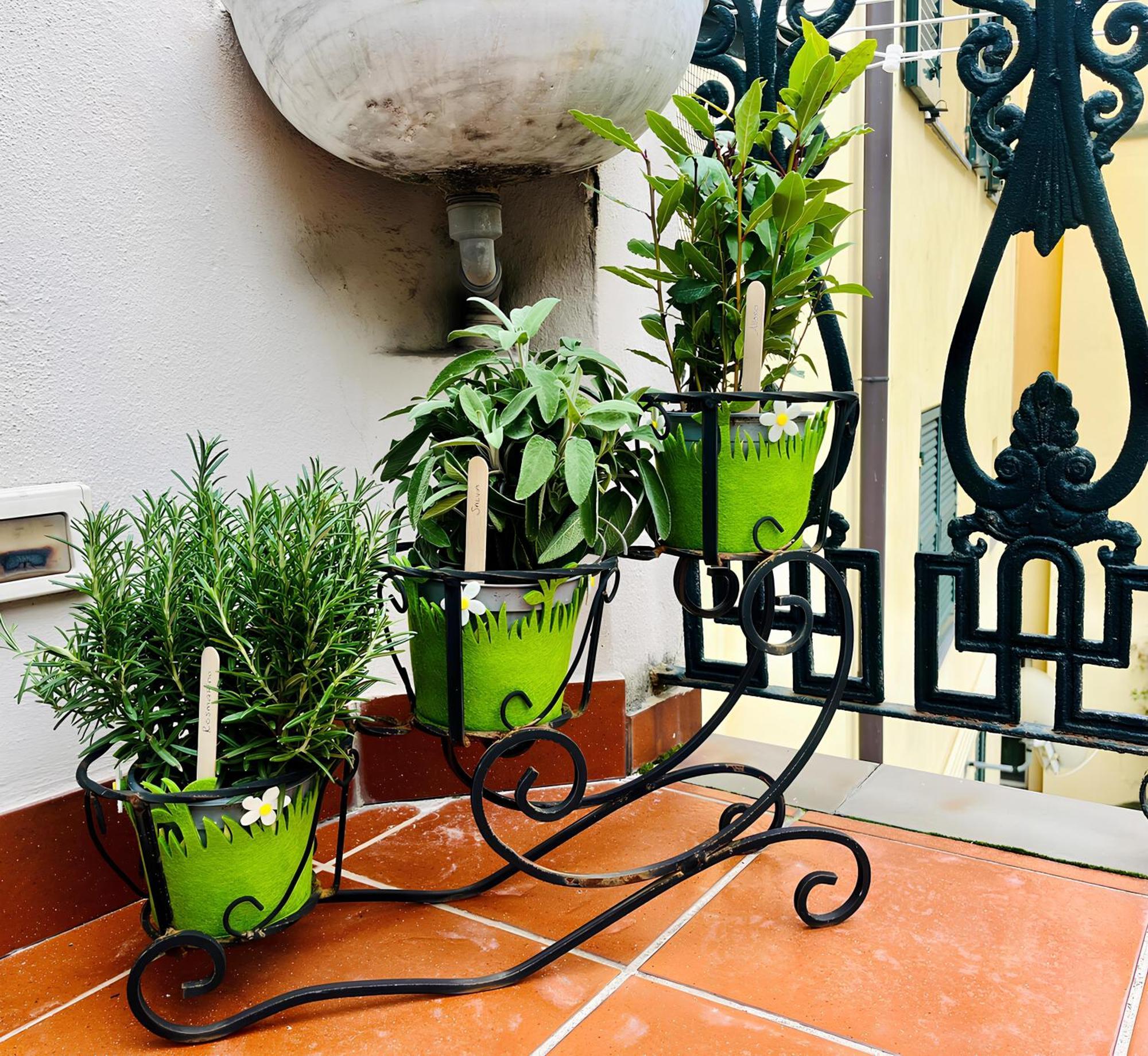 Casa Migliorina *